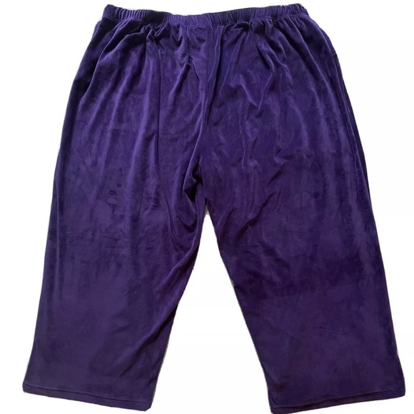 Woman Within 2 Piece Purple Velour Pant Set Size 5X - Picture 5 of 11